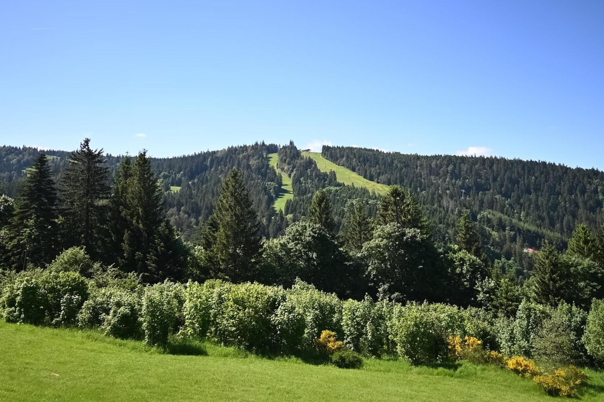 Le Nid Des Vosges - Appt Vue Montagne Apartment Gerardmer Luaran gambar